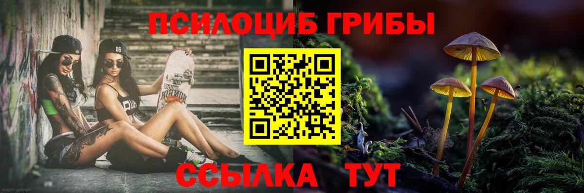 Галлюциногенные грибы Psilocybine cubensis  Псилоцибиновые грибы Magic Shrooms  Гусиноозёрск  Вход с VPN 